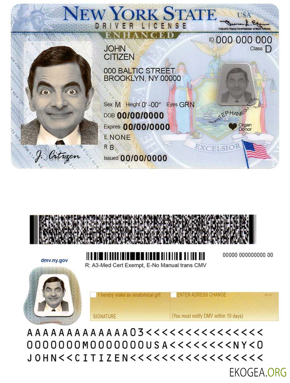 Usa New york template